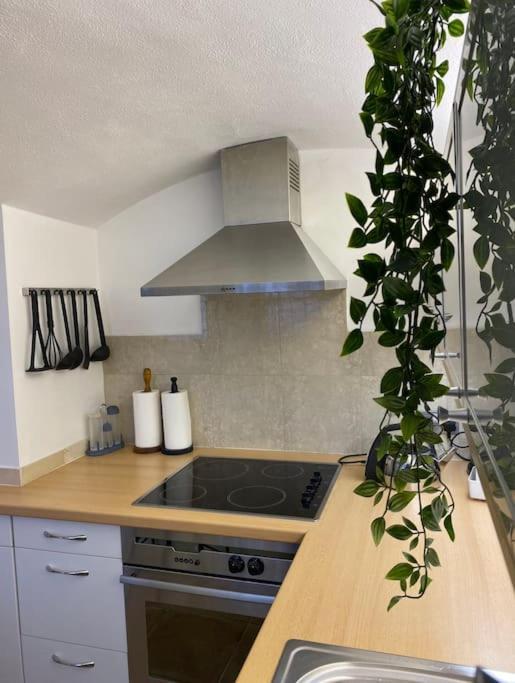 Spacious Flat In The Most Desirable Area Of London Londres Exterior foto